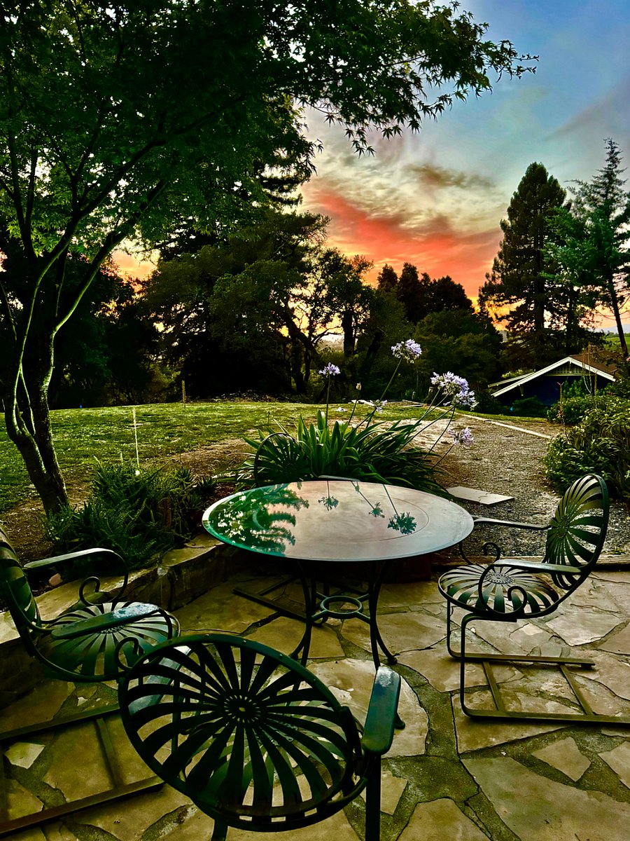 Furnished Finder property 466582_1 photo 17