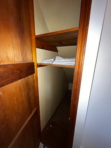 Bathroom Closet