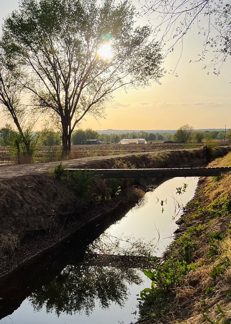 Walking paths around the fields, bridge over irrigation ditch
