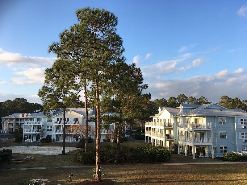 Furnished Finder property 466790_1 photo 17