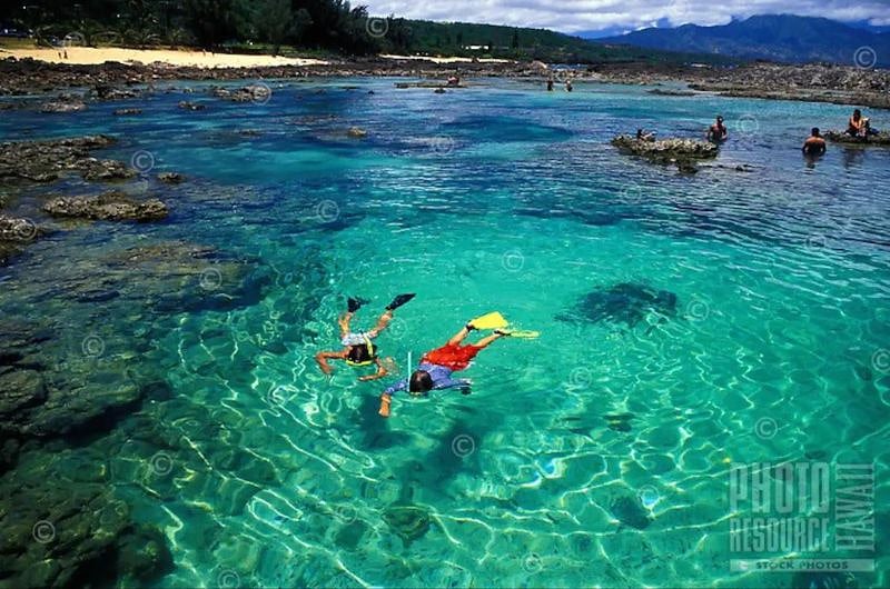 Sharks Cove, located 5 min away