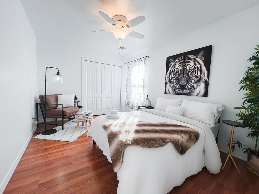 Furnished Finder property 467027_1 photo 83