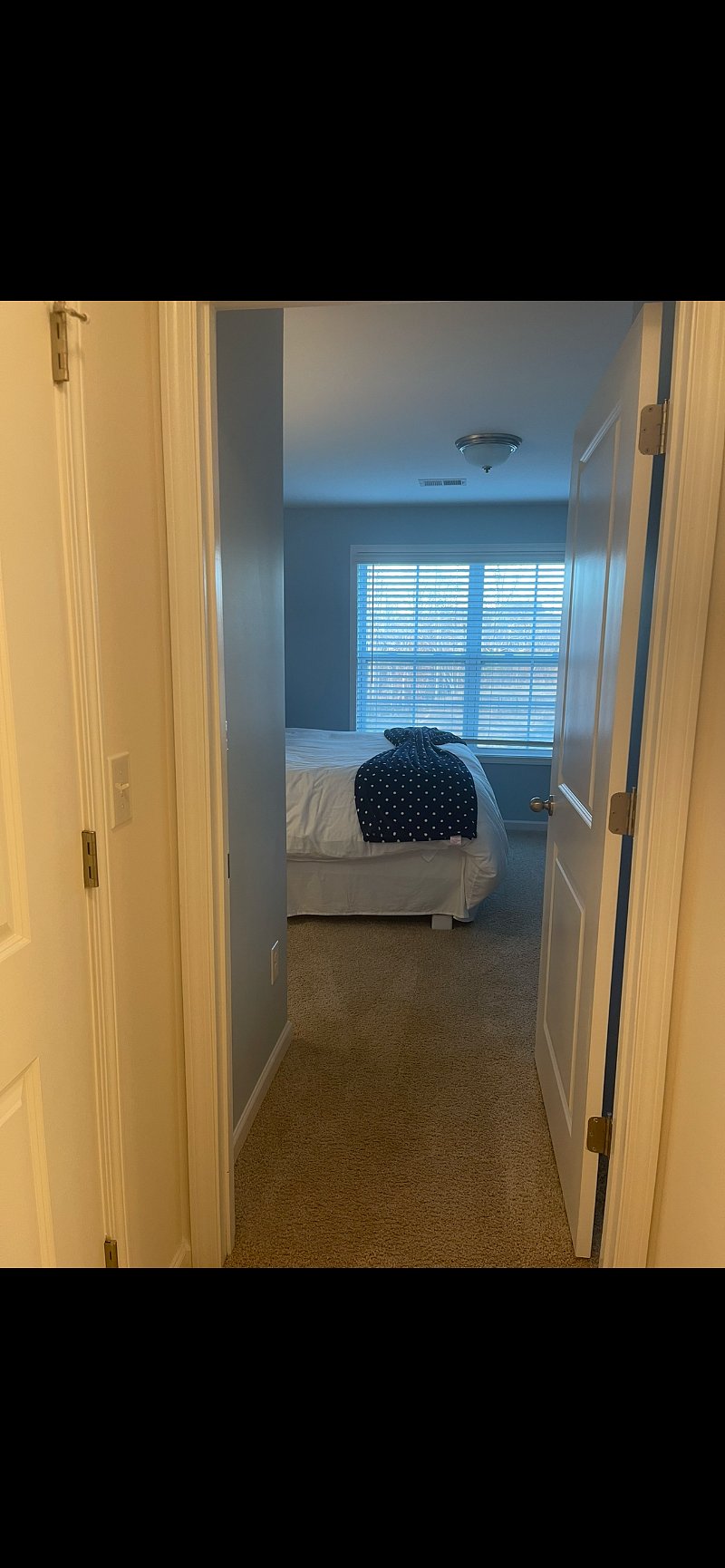 Furnished Finder property 467088_1 photo 6