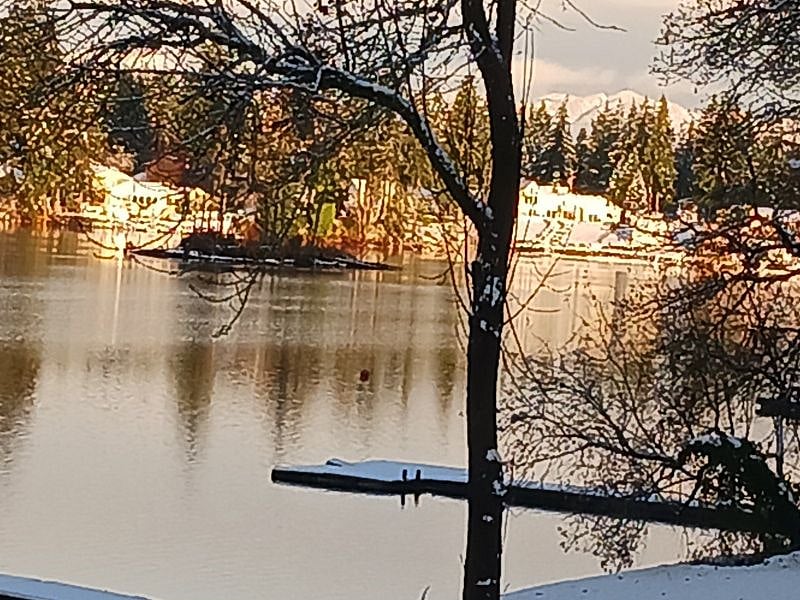 Winter on the lake