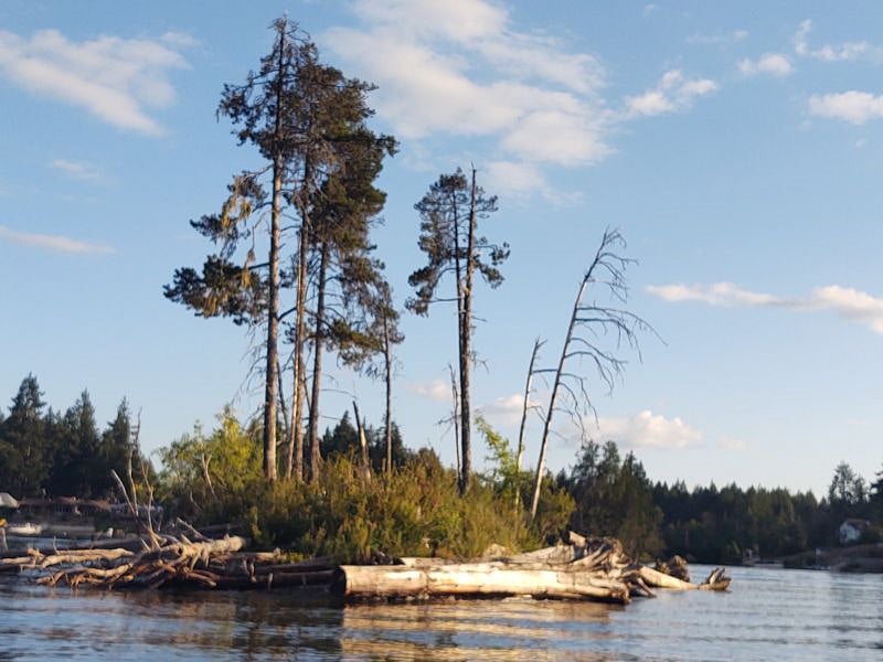 The "Island" of Island Lake