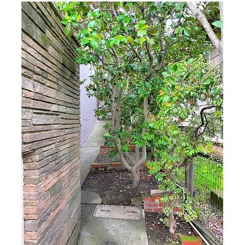 walkway to your room