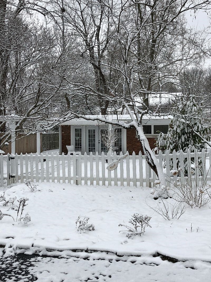The cottage with snow