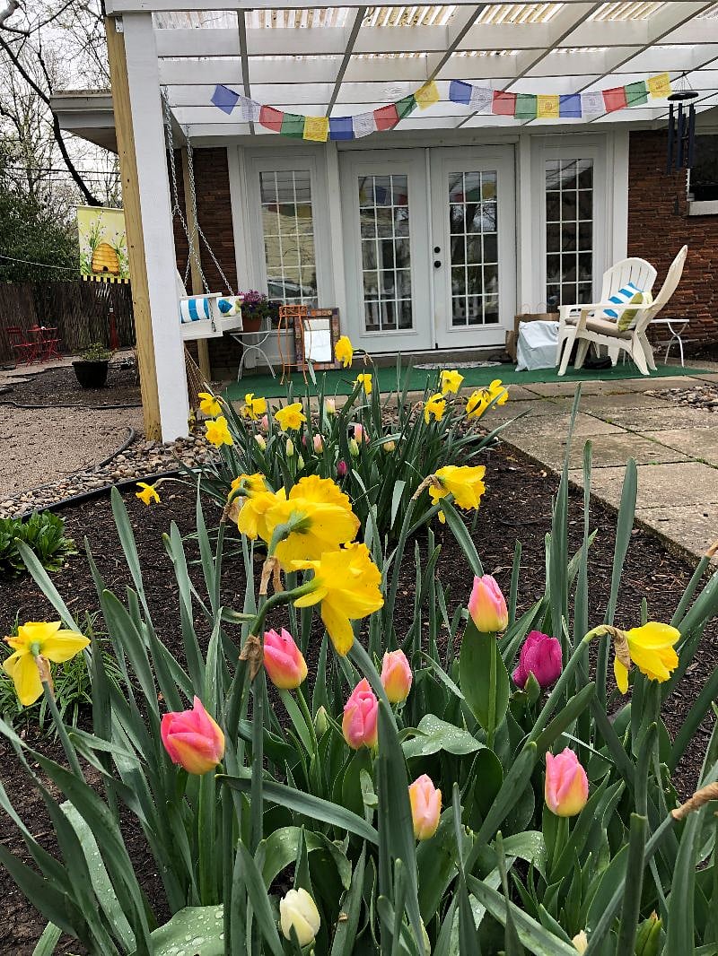 Springtime at the cottage