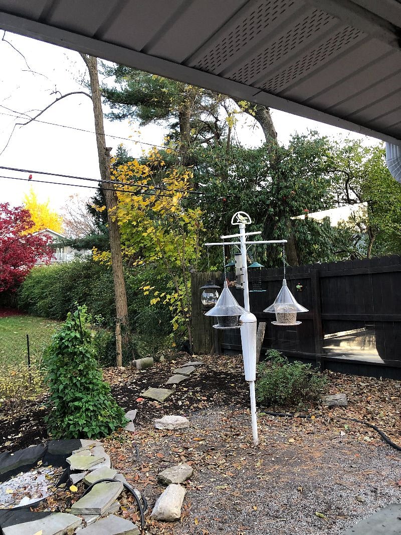 Back garden with bird feeders