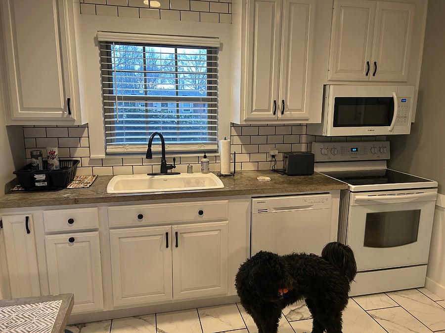 Furnished Finder property 467595_1 photo 11
