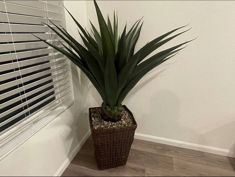 Furnished Finder property 467611_1 photo 8