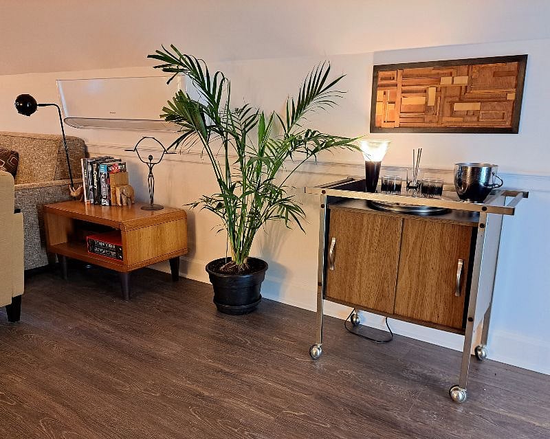 Cocktail cart in living room.
