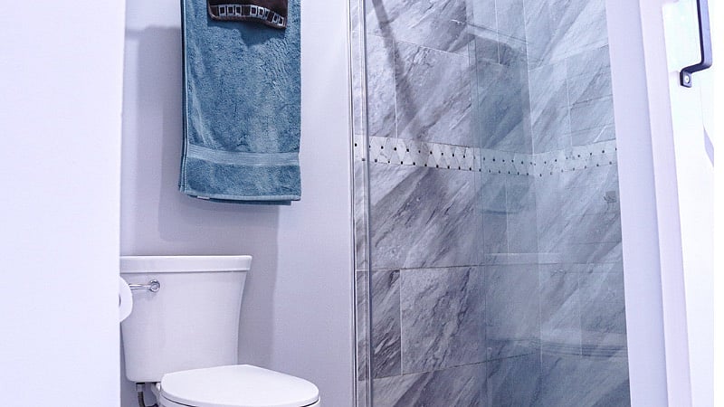 Master Bedroom - Shower and Toilet Room.