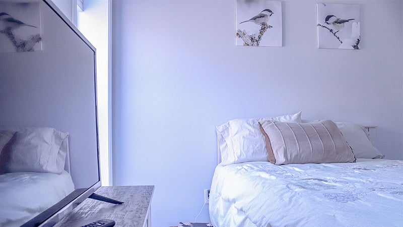 The Snug and Cozy Room