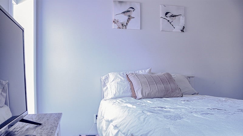 The Snug and Cozy Room