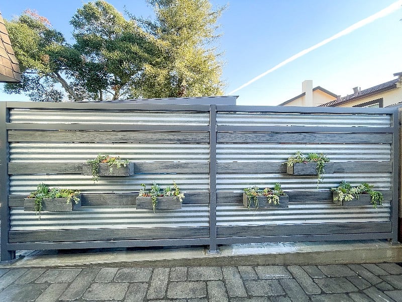 Patio Succulent Wall