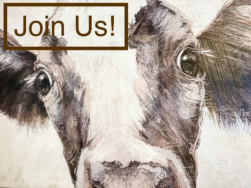 We look forward to hosting you! 