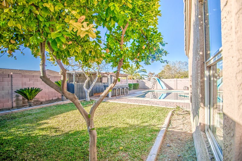 Furnished Finder property 468162_1 photo 41