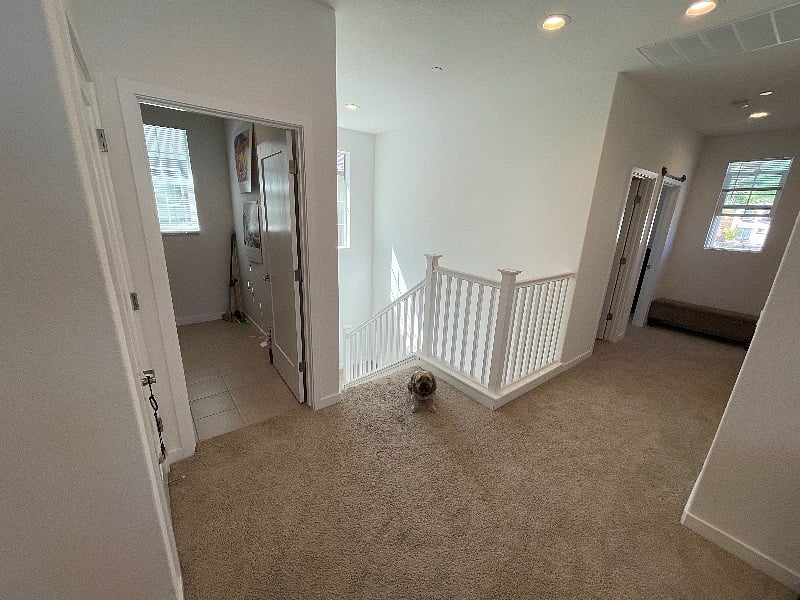 Furnished Finder property 468175_2 photo 20