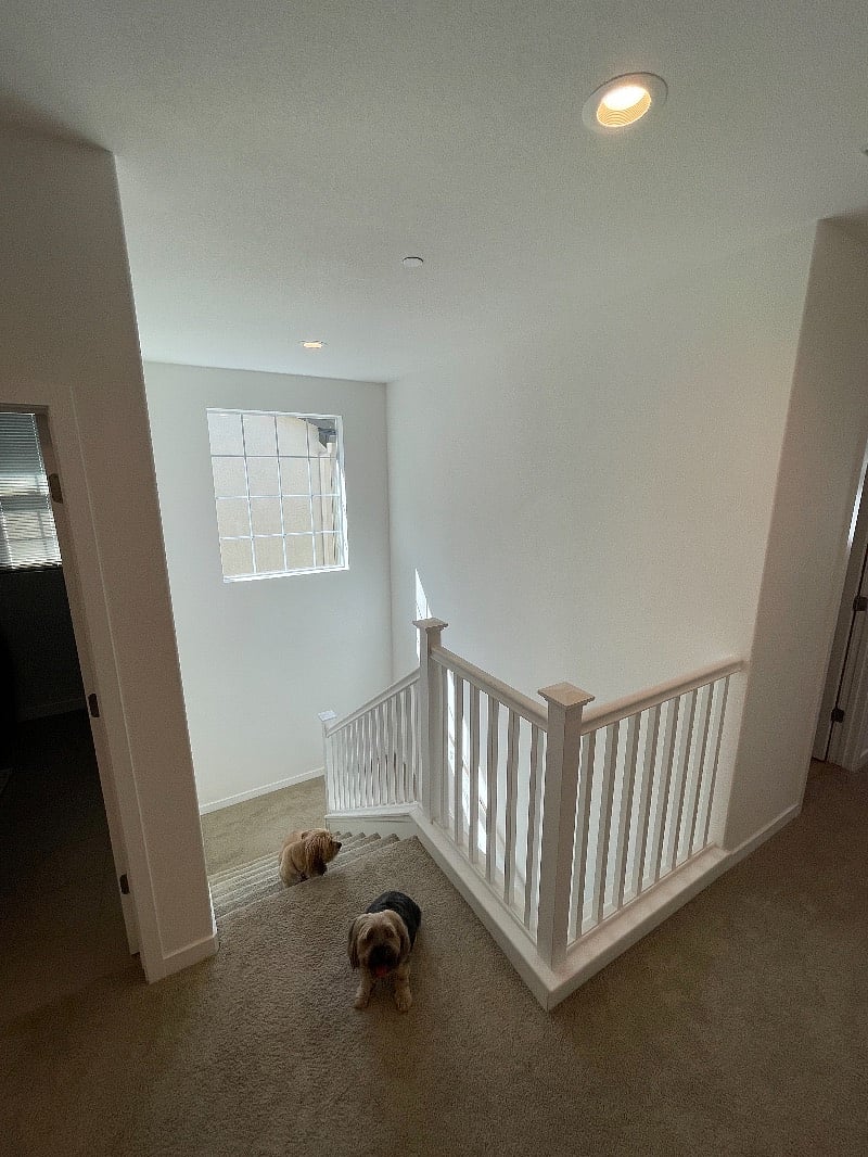 Furnished Finder property 468175_2 photo 22