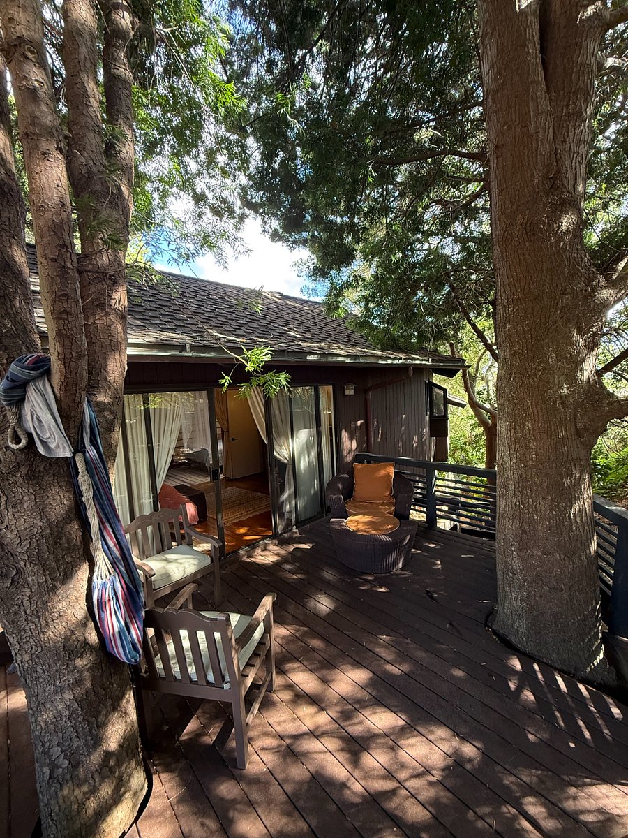 Furnished Finder property 468199_3 photo 13