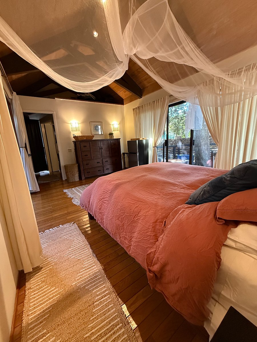 Furnished Finder property 468199_3 photo 15