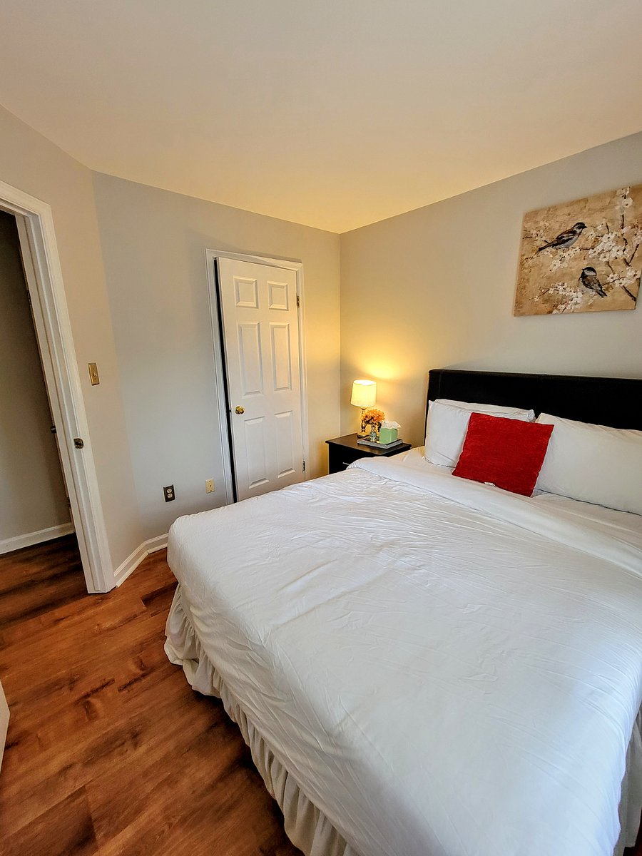 Furnished Finder property 468443_1 photo 29