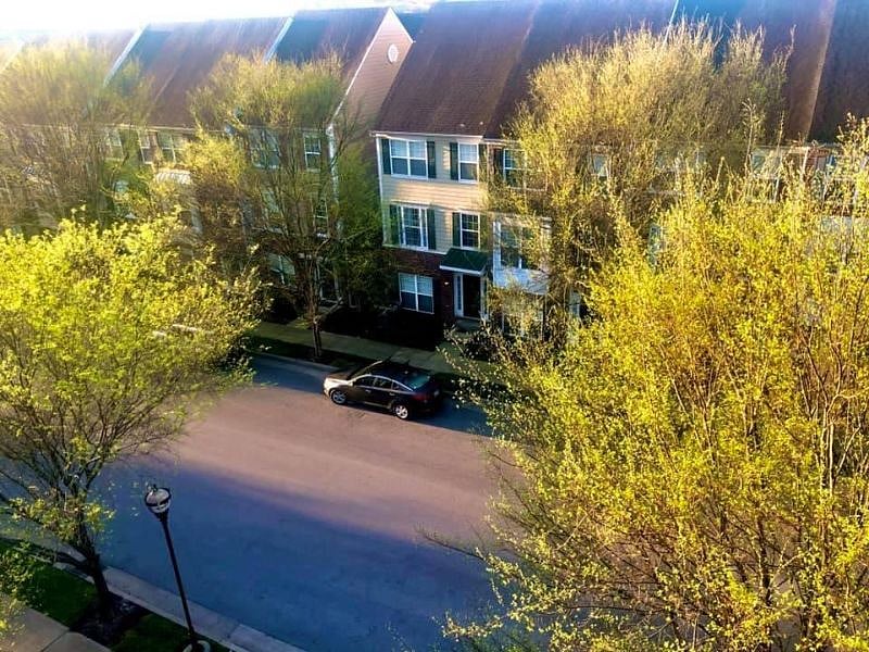 Furnished Finder property 468460_1 photo 19