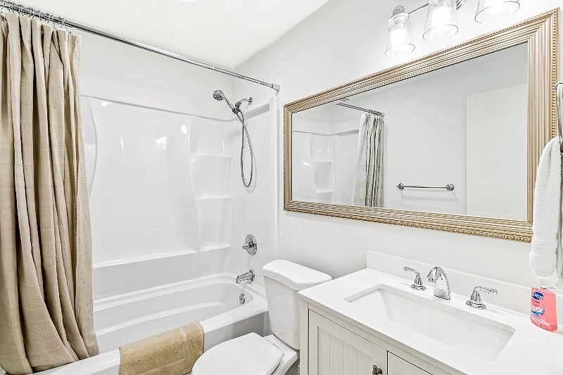 Handheld shower head