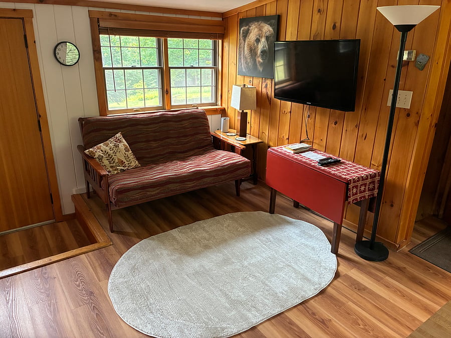 Furnished Finder property 468637_1 photo 10