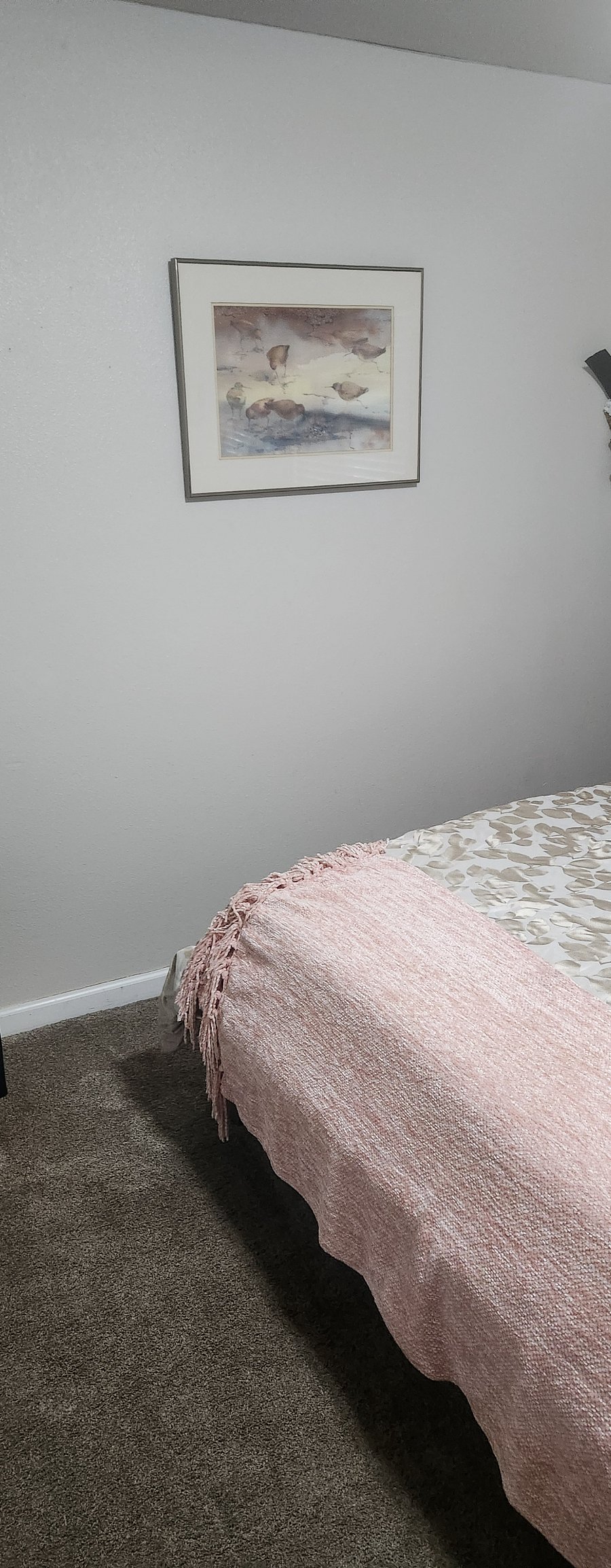 Furnished Finder property 468694_1 photo 3