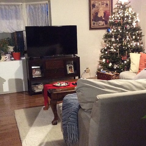 Furnished Finder property 469142_1 photo 4