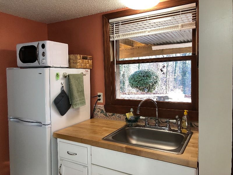 brightly lit sink and refrigerator area with window to a lovely outside view