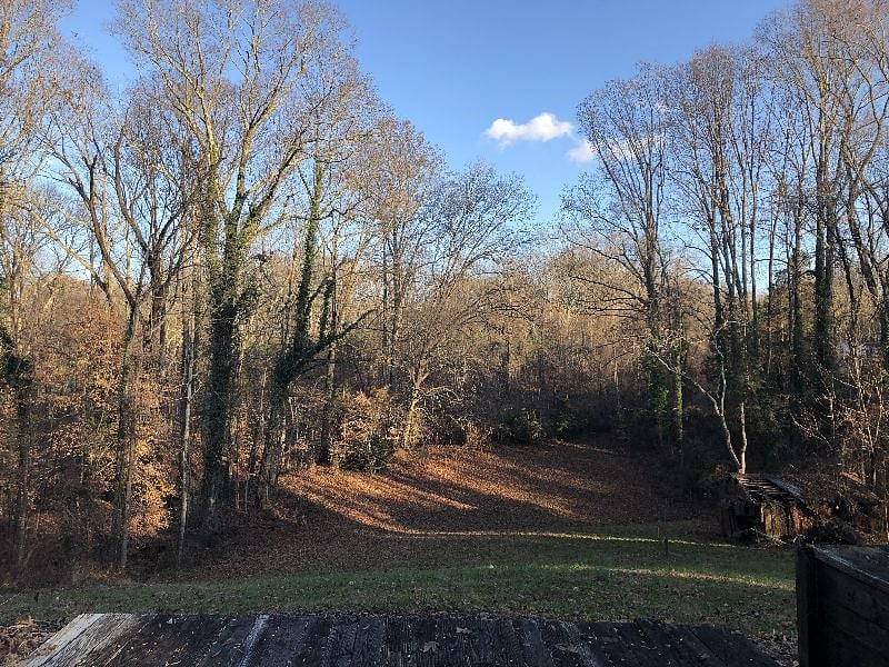 backyard view from the lower deck, in winter
