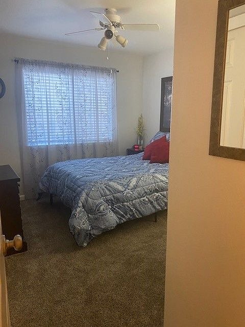 Furnished Finder property 469205_1 photo 10