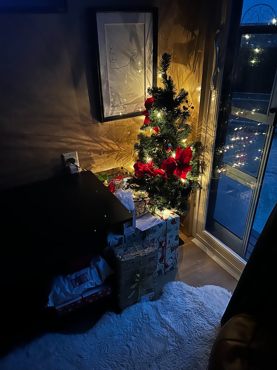 Tiny Home Holiday!