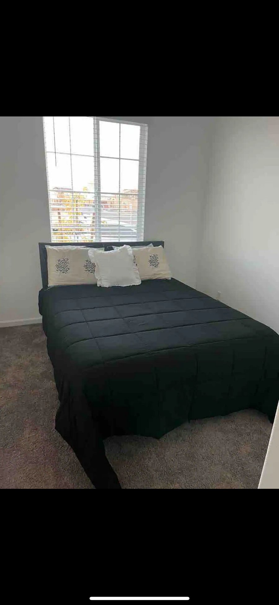 Furnished Finder property 469307_1 photo 25