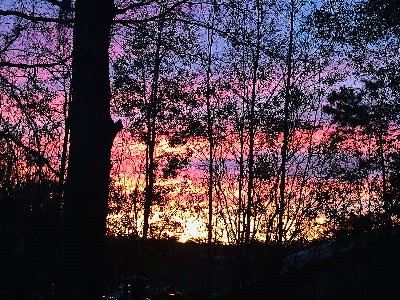 Really nice sunset behind deck