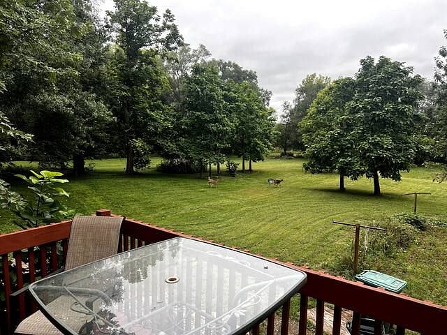 Deer from the Deck
