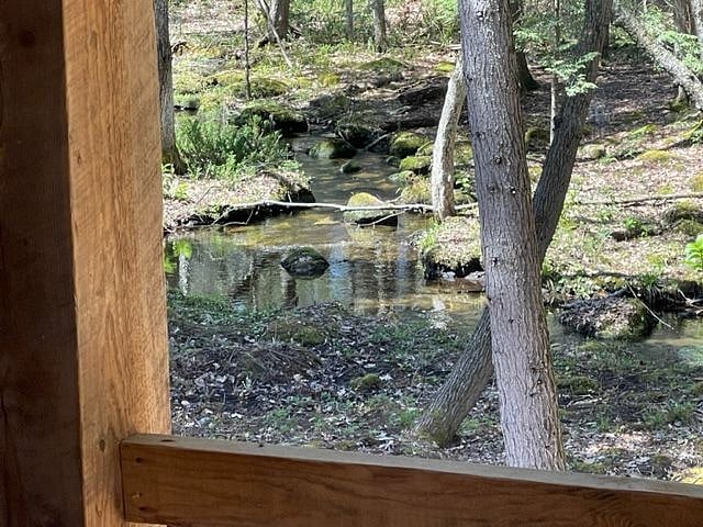 View from back deck