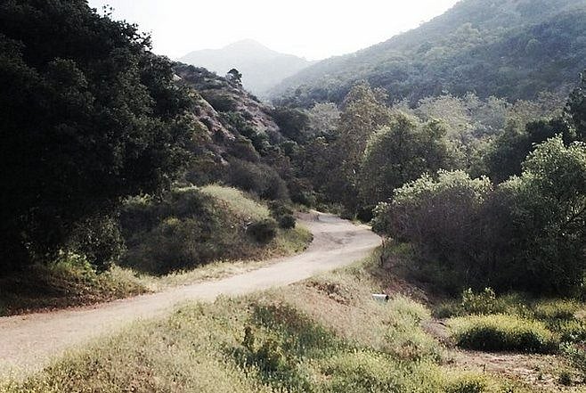 Scenic Bronson Canyon is just up the road for a good hike.