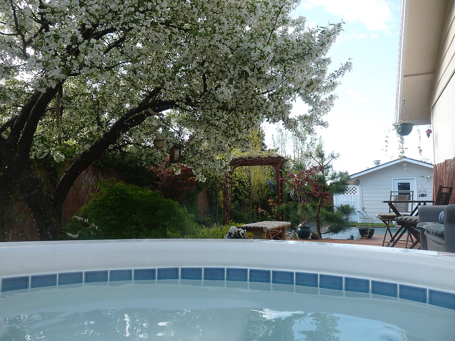 Furnished Finder property 469954_1 photo 19