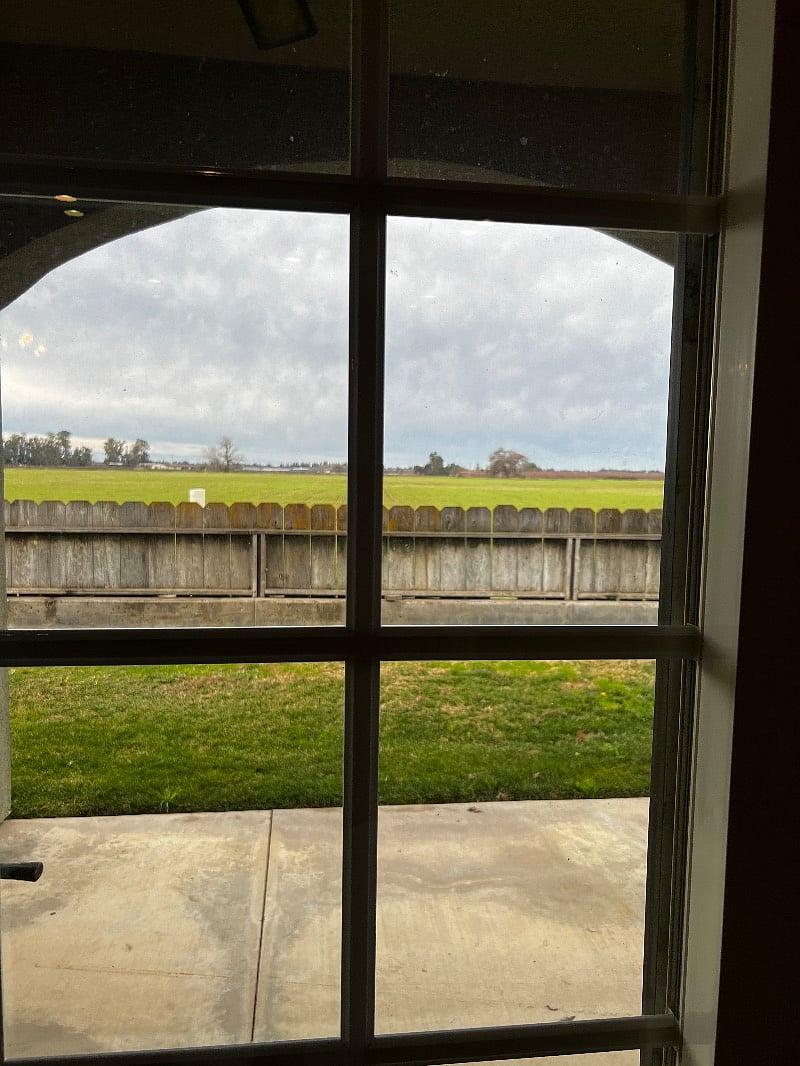 Furnished Finder property 469974_1 photo 17