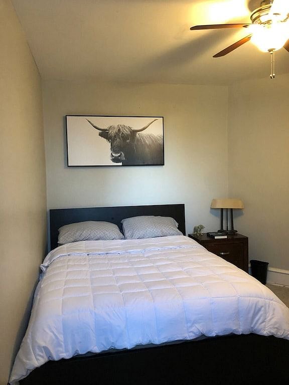 Furnished Finder property 470004_1 photo 5
