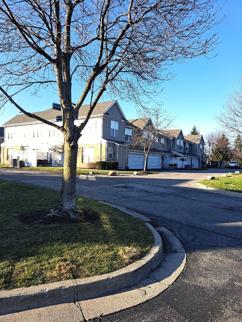 Furnished Finder property 470293_1 photo 4