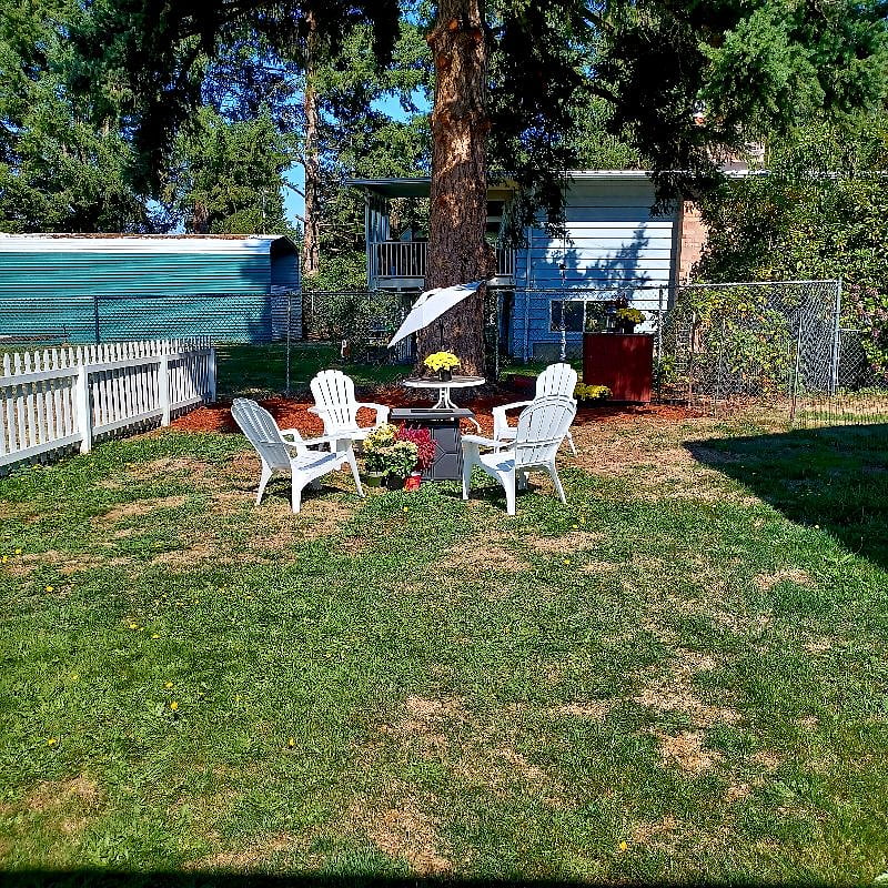 A beautiful fall day in the back yard.