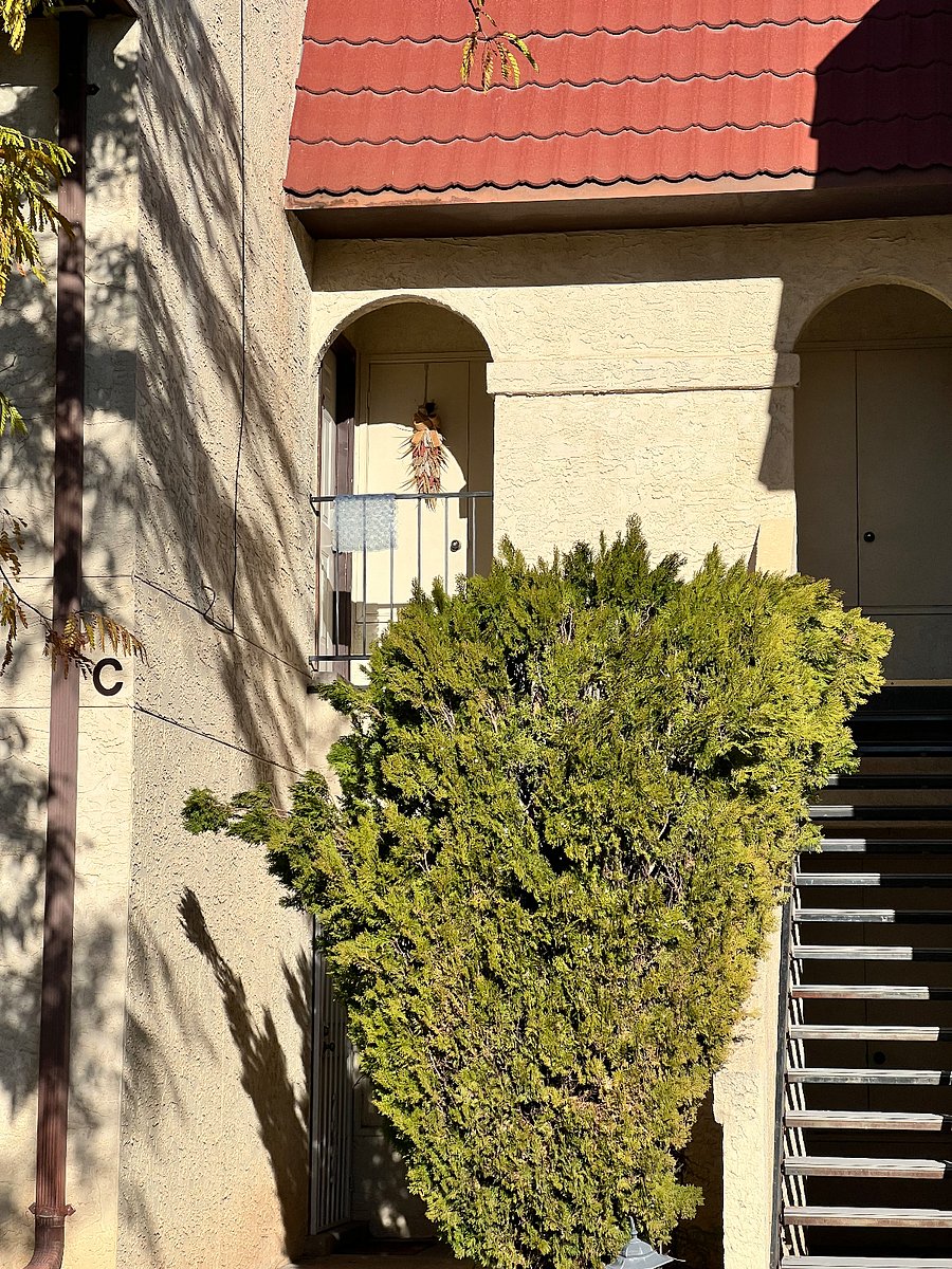Furnished Finder property 470505_1 photo 12