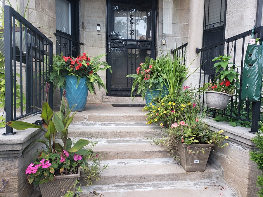 Furnished Finder property 470524_1 photo 20