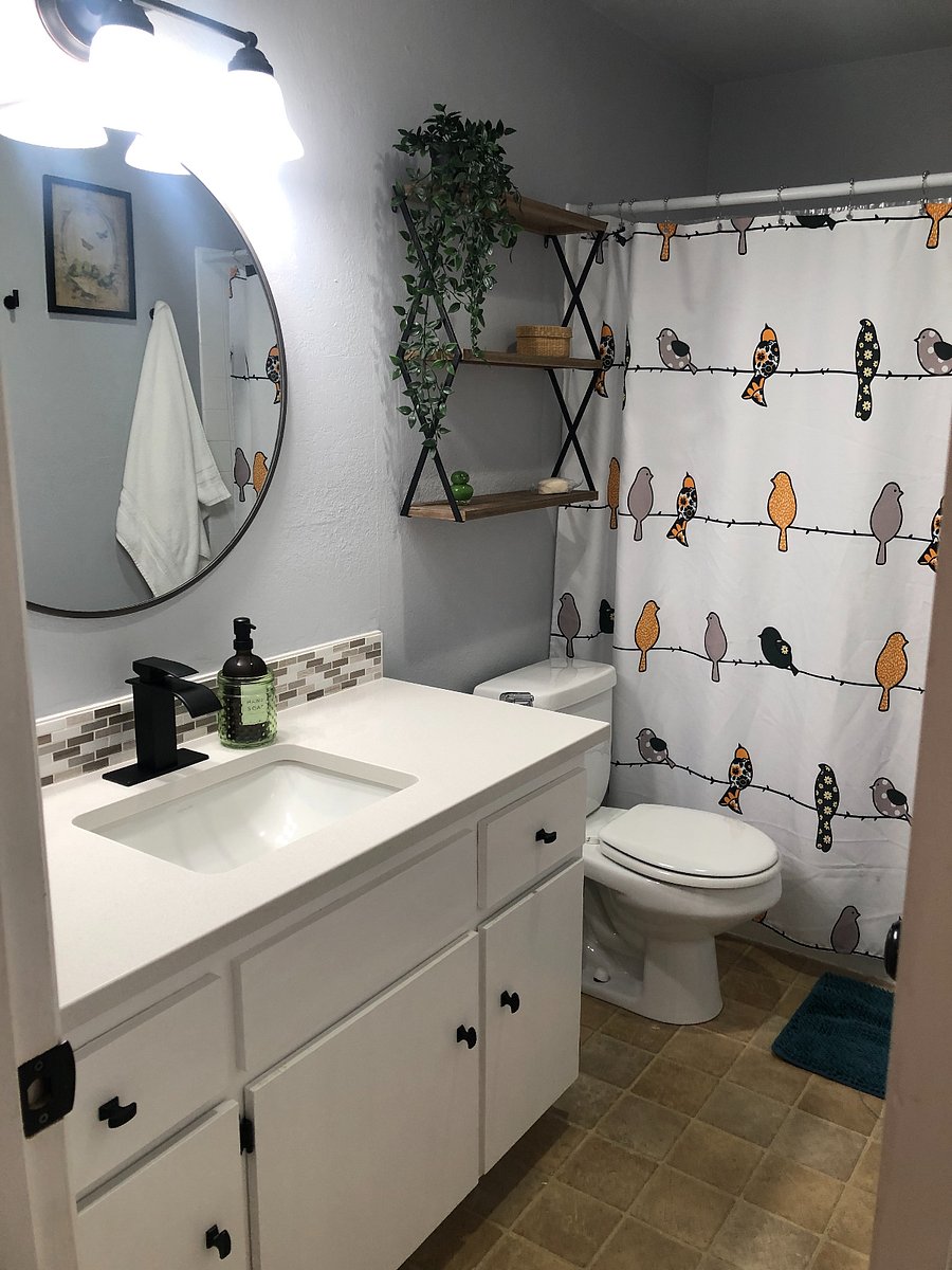 Furnished Finder property 470550_1 photo 13