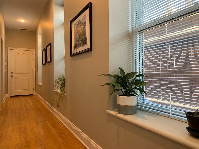 Furnished Finder property 470559_1 photo 13